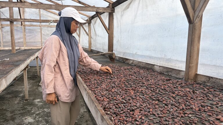 Resona Saintek UNANDA 2026 : Menuju Kakao Hijau Berkelanjutan, Pelajaran Berharga dari Riset LCA di Luwu Utara