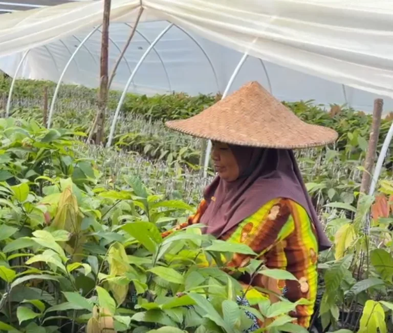 Resona Saintek UNANDA 2026: Cokelat yang Lebih Ramah Iklim, Langkah Kakao Luwu Utara Menekan Jejak Karbon